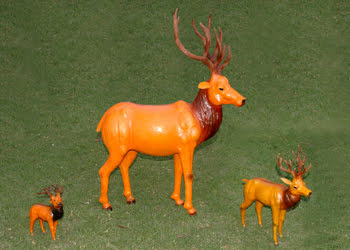 Deer Std 6-12-24