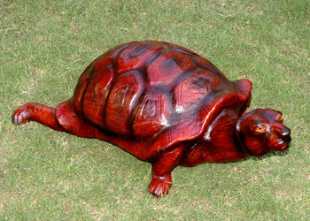 Turtle 12